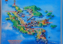 백도 녹산등대 가는 길 - 무심재클럽 여행 - 여행, 바람처럼 흐르다... 3월 27-29일 쪽빛바다에 동백꽃 떨어지는 거문도 백도 녹산등대 가는 길