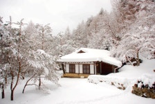 오두막집을 찾아서(번개) - 무심재클럽 여행 - 여행, 바람처럼 흐르다 1월 15일 눈내리는 날 대관령 황태덕장과 법정스님 오두막집을 찾아서(번개)