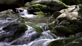 6월의 마지막날 떠난 가평 아난티 &청리움& 양평 중원계곡 여행... 바람처럼 흐르다 6월의 마지막날 떠난 가평 아난티 &청리움& 양평 중원계곡 여행