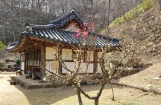 3월 23-24일 독락(獨樂)의 삼매경(三昧境) 매화서옥도의 풍류를 찾아서 - 무심재클럽 여행 - 여행, 바람처럼 흐르다 3월 23-24일 독락(獨樂)의... 