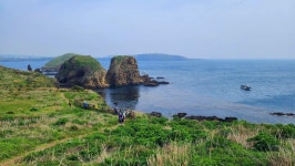 4월 11-14일 유채꽃과 청보리 그 황홀한 봄날의 제주, 섬속의 섬여행... 흐르다 4월 11-14일 유채꽃과 청보리 그 황홀한 봄날의 제주, 섬속의 섬여행