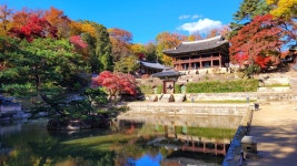 창덕궁 후원(비원) 가을 풍경 - 파인더로 본 세상 - 여행, 바람처럼 흐르다 창덕궁 후원(비원) 가을 풍경