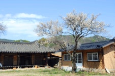 3월 20일 수선사 정원과 옛 선비의 뜨락에서 피어나는 산청 탐매 여행 - 무심재클럽 여행 - 여행, 바람처럼 흐르다 3월 20일 수선사 정원과 옛... 