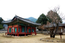 3월 20일 수선사 정원과 옛 선비의 뜨락에서 피어나는 산청 탐매 여행 - 무심재클럽 여행 - 여행, 바람처럼 흐르다 3월 20일 수선사 정원과 옛... 