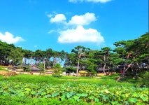 곳, 시호재 - 무심재클럽 여행 - 여행, 바람처럼 흐르다 8월 4-5일 고요속의 빛, 베네딕도 수도원 피정과 시간의 의미를 사유하는 곳, 시호재