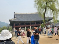 서울투어 경복궁 여행 2 - 38 참샘 서울 투어(2026년 5월 2일~ 3일) - 계북초등학교38회동창회 서울투어 경복궁 여행 2