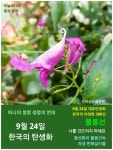 9월 24일. 한국의 탄생화와 부부사랑 / 물봉선 - ◈ 우리나라 오늘의 꽃... 꽃과 철학/유레카3 9월 24일. 한국의 탄생화와 부부사랑 / 물봉선