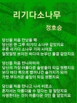 한국의 탄생화와 부부 사랑 / 리기다소나무 등 외국원산 소나무... 한국의 탄생화와 부부 사랑 / 리기다소나무 등 외국원산 소나무
