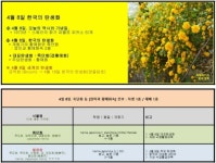 4월 8일. 한국의 탄생화와 부부 사랑 / 황매화, 죽단화 - ◈ 우리나라... 꽃과 철학/유레카3 4월 8일. 한국의 탄생화와 부부 사랑 / 황매화, 죽단화