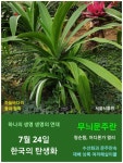 한국의 탄생화와 부부꽃배달/ 제주 토끼섬의 천연기념물 문주란 - ◈ 우리나라 오늘의 꽃 제작 - 하늘바다의 꽃과 철학/유레카3 7월 24일.... 