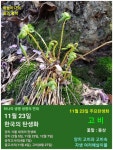 11월 23일. 한국의 탄생화와 부부 사랑 / 양치식물. 관중, 고사리, 고비... 11월 23일. 한국의 탄생화와 부부 사랑 / 양치식물. 관중, 고사리, 고비... 