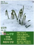 한국의 탄생화와 부부 사랑 / 눈 속에서 피는 꽃 설강화와 겨울 실내 개화하는 외래 식물 모듬 - ◈ 우리나라 오늘의 꽃 제작 - 하늘바다의 꽃과... 
