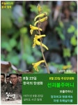 8월 23일. 한국의 탄생화 / 모시풀, 칠자화 등 - ◈ 우리나라 오늘의 꽃... 꽃과 철학/유레카3 8월 23일. 한국의 탄생화 / 모시풀, 칠자화 등