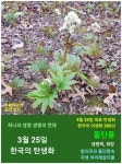 3월 25일. 한국의 탄생화와 부부 사랑 / 돌단풍 - ◈ 우리나라 오늘의... 꽃과 철학/유레카3 3월 25일. 한국의 탄생화와 부부 사랑 / 돌단풍