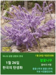 한국의 탄생화와 부부 사랑 / 팥꽃나무 - ◈ 우리나라 오늘의 꽃 제작 - 하늘바다의 꽃과 철학/유레카3 1월 26일. 한국의 탄생화와 부부 사랑... 