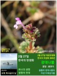 2월 27일. 한국의 탄생화와 부부 사랑 / 광대나물 - ◈ 우리나라 오늘의 꽃 제작 - 하늘바다의 꽃과 철학/유레카3 2월 27일. 한국의 탄생화와... 