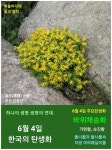 6월 4일. 한국의 탄생화 / 돌나물, 기린초 등 - ◈ 우리나라 오늘의 꽃 제작 - 하늘바다의 꽃과 철학/유레카3 6월 4일. 한국의 탄생화 / 돌나물... 
