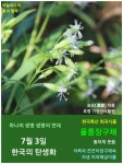 7월 3일. 한국의 탄생화와 부부 사랑 / 끈끈이대나물과 장구채, 동자꽃 등 한 여름의 석죽과 식물들 - ◈ 우리나라 오늘의 꽃 제작 - 하늘바다의... 