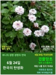 한국의 탄생화와 부부꽃배달 / 버베나, 란타나, 질경이 등 - ◈ 우리나라 오늘의 꽃 제작 - 하늘바다의 꽃과 철학/유레카3 6월 24일. 한국의... 