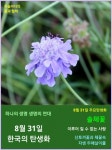 한국의 탄생화와 부부 사랑 / 토끼풀, 붉은토끼풀, 솔체꽃... 꽃과 철학/유레카3 8월 31일. 한국의 탄생화와 부부 사랑 / 토끼풀, 붉은토끼풀, 솔체꽃