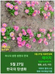 5월 27일. 한국의 탄생화 / 데이지 - ◈ 우리나라 오늘의 꽃 제작 - 하늘바다의 꽃과 철학/유레카3 5월 27일. 한국의 탄생화 / 데이지