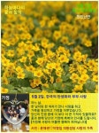 5월 2일. 한국의 탄생화 / 미나리아재비, 라넌큘러스 - ◈ 우리나라... 꽃과 철학/유레카3 5월 2일. 한국의 탄생화 / 미나리아재비, 라넌큘러스