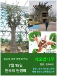 7월 15일. 한국의 탄생화와 부부꽃배달 / 수삼나무 (메타세쿼이아)... 철학/유레카3 7월 15일. 한국의 탄생화와 부부꽃배달 / 수삼나무... 