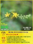 한국의 탄생화와 부부꽃배달 / 짚신나물, 오이풀, 눈개승마 - ◈ 우리나라 오늘의 꽃 제작 - 하늘바다의 꽃과 철학/유레카3 8월 18일. 한국의... 