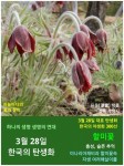 3월 28일. 한국의 탄생화와 부부 사랑 / 할미꽃, 동강할미꽃... 꽃과 철학/유레카3 3월 28일. 한국의 탄생화와 부부 사랑 / 할미꽃, 동강할미꽃