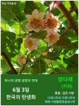 한국의 탄생화 / 다래, 개다래, 마, 아마 등 - ◈ 우리나라 오늘의 꽃... 꽃과 철학/유레카3 6월 3일. 한국의 탄생화 / 다래, 개다래, 마, 아마 등