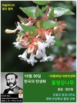 한국의 탄생화와 부부사랑 / 꽃댕강나무(아벨리아) - ◈ 우리나라... 철학/유레카3 10월 30일. 한국의 탄생화와 부부사랑 / 꽃댕강나무(아벨리아)