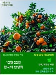 12월 22일 한국의 탄생화 / 귤나무 - ◈ 우리나라 오늘의 꽃 제작 - 하늘바다의 꽃과 철학/유레카3 12월 22일 한국의 탄생화 / 귤나무