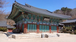 20260307 전남 순천 조계산 선암사~장군봉~송광사~선암사 - 산행후기 - 영남알프스&지리산 영남알프스&지리산