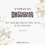 🏤 분들의 제4주일 (성소 주일) - 일반 게시판 - 반야월 성당 🏤 분들의 제4주일 (성소 주일)