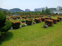 유엔공원 - 제3기(알림/나눔의장) - 경성 골드에이지 유엔공원