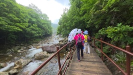 지리산 뱀사골 신선길 2025.7.17. - ◈신협산악회사진◈ - 용천사진 지리산 뱀사골 신선길 2025.7.17.