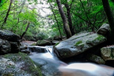 만수계곡 - 산과들 [기타사진 및 동영상] - 안산 산과들산악회 만수계곡