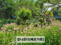 26년6월설죽원1 - 운동장 풍경 - 우리 운동장 26년6월설죽원1