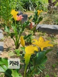 26년6월설죽원1 - 운동장 풍경 - 우리 운동장 26년6월설죽원1