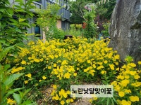 26년6월설죽원1 - 운동장 풍경 - 우리 운동장 26년6월설죽원1