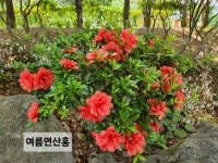 26년6월설죽원1 - 운동장 풍경 - 우리 운동장 26년6월설죽원1