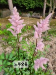 26년6월설죽원1 - 운동장 풍경 - 우리 운동장 26년6월설죽원1