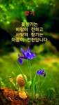 소중한 우정과 사랑을 위해 오늘도 행복하세요 ( 인사말 이미지 ) - 📷예쁜움짤이미지(gif) - 💜산야와 한울타리💜 소중한 우정과 사랑을 위해... 