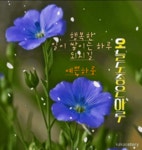 행복한 일이 쌓이는 좋은하루 되세요 / 인사 드립니다... (gif) - 💜산야와 한울타리💜 행복한 일이 쌓이는 좋은하루 되세요 / 인사 드립니다