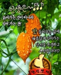 오늘도 즐겁고 멋진하루 응원합니다 - 📷예쁜글움짤이미지(gif) - 💜산야와 한울타리💜 오늘도 즐겁고 멋진하루 응원합니다