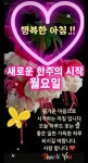 월요일은 꽃드리는날 행복도 같이 드려요 / 인사 드립니다... 한울타리💜 월요일은 꽃드리는날 행복도 같이 드려요 / 인사 드립니다
