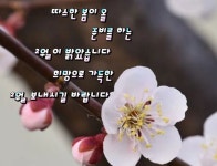 2월 더많이 행복하시고 멋지고 예쁜달 되세요 / 인사 드립니다 - 📷예쁜움짤이미지(gif) - 💜산야와 한울타리💜 2월 더많이 행복하시고 멋지고... 