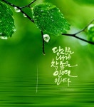당신은 내게 참좋은 인연입니다 행복하세요 / 인사 드립니다... 한울타리💜 당신은 내게 참좋은 인연입니다 행복하세요 / 인사 드립니다