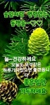 늘 생각나는 사람 오늘도 건강하시고 행복하세요 - 📷예쁜움짤이미지... 한울타리💜 늘 생각나는 사람 오늘도 건강하시고 행복하세요