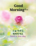 한주의시작월요일 - ─‥‥최고의이미지 - 인생은추억여행 한주의시작월요일